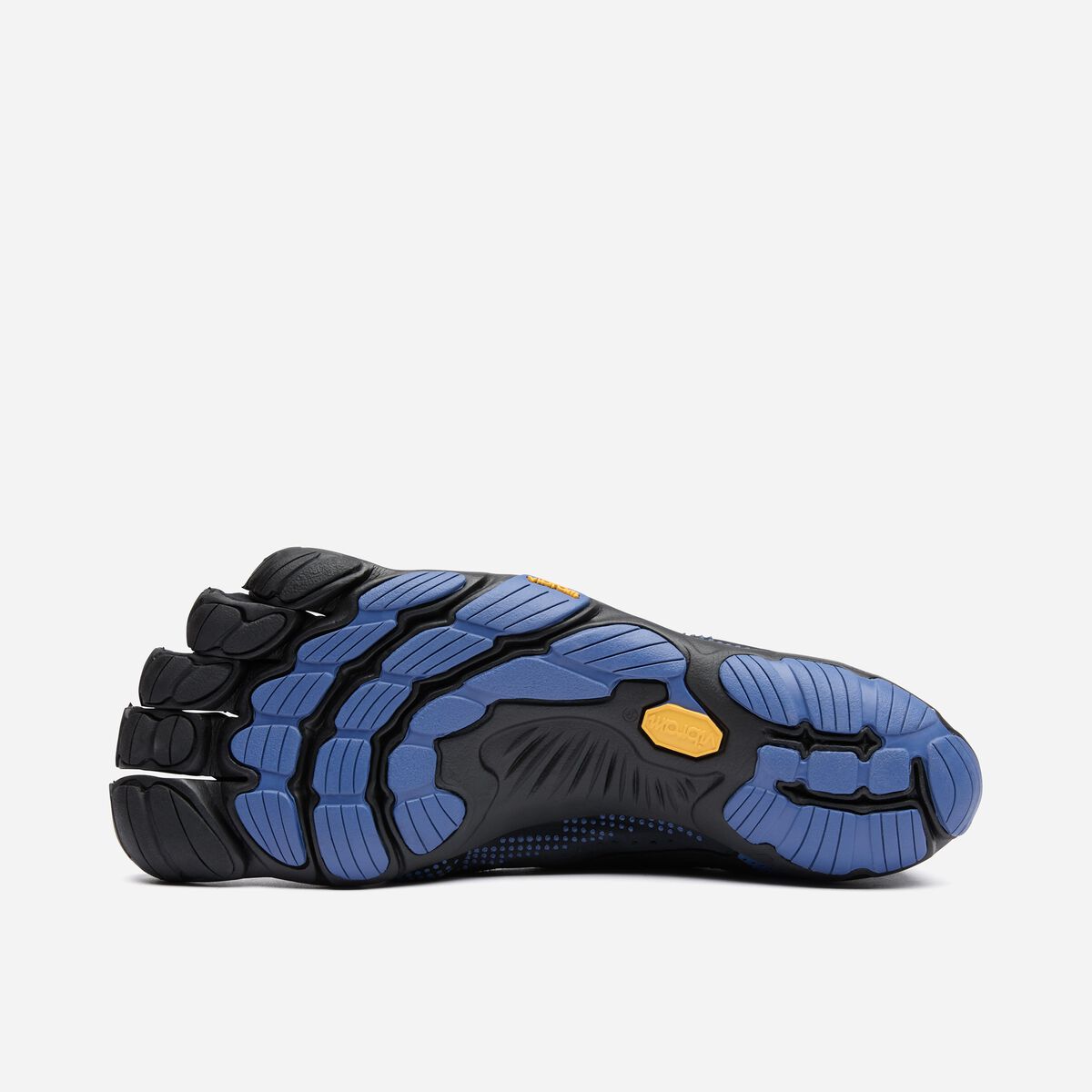 25M7004_V-RUN_Black_Blue_02-3.jpg